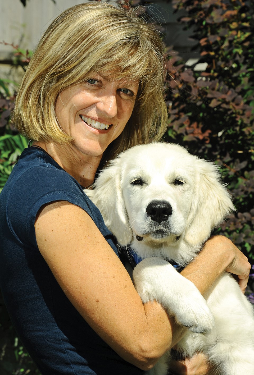 Dawn Boddington pet pause