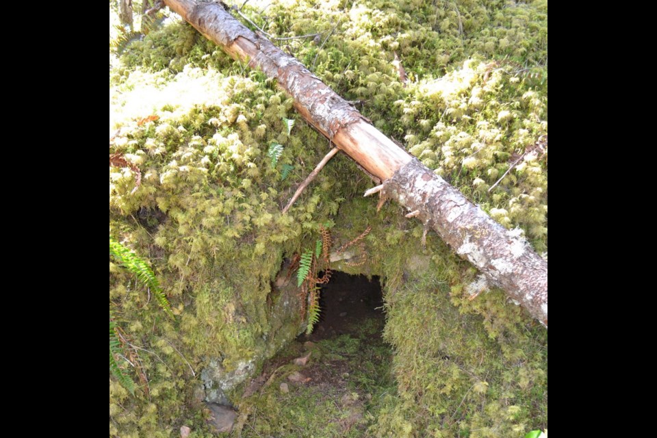A rock oven used to cook food for those building an early water line was discovered in the Sooke hills recently.