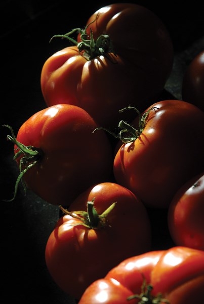 Tomatoes
