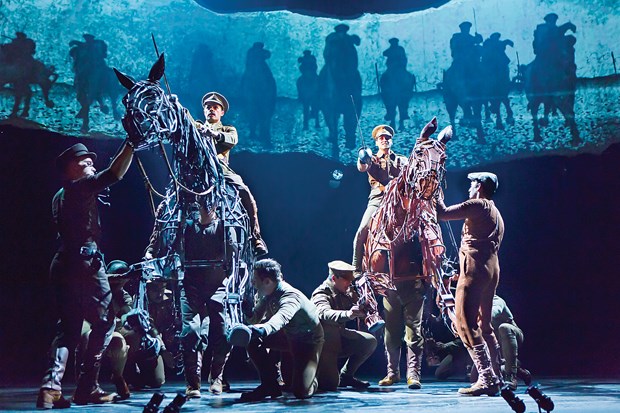 War Horse