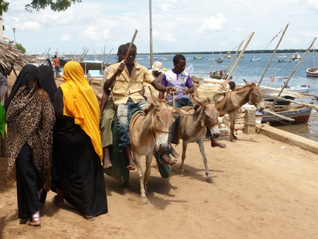 Lamu procession