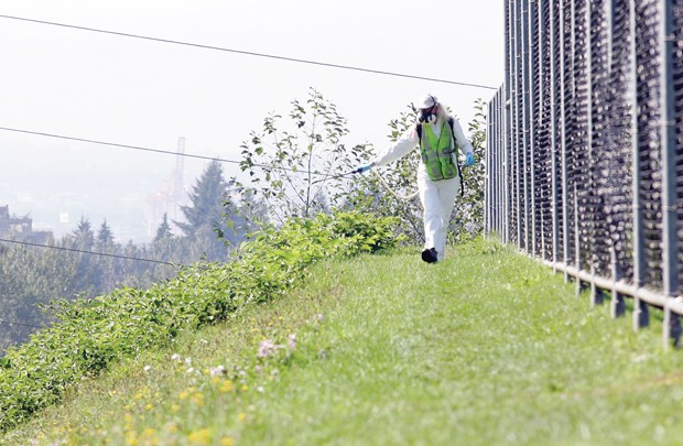 Herbicde spraying in North Vancouver