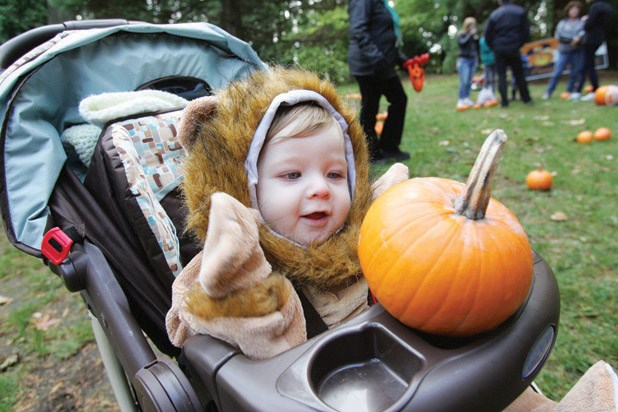 Derrick Thornhill pumpkin patch