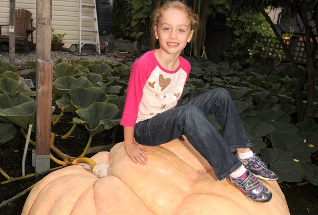 giant pumpkin