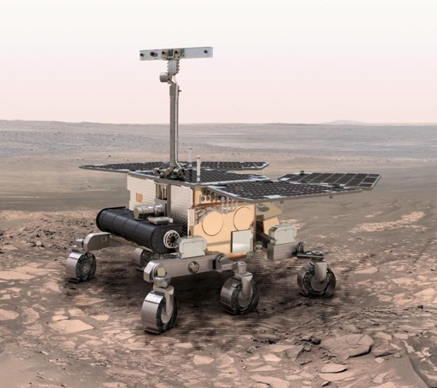 Rover