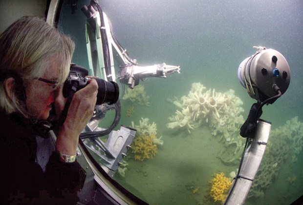 glass sponge reefs