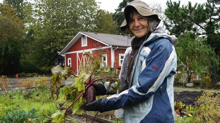 Graeme Wood/Special to the News Ann Metcalfe helps Gilmore elementary students plant vegetables. This month, she’ll be teaching them how to make a root vegetable soup. The Thompson neighbourhood contains some of the city’s best natural vistas and gardens.