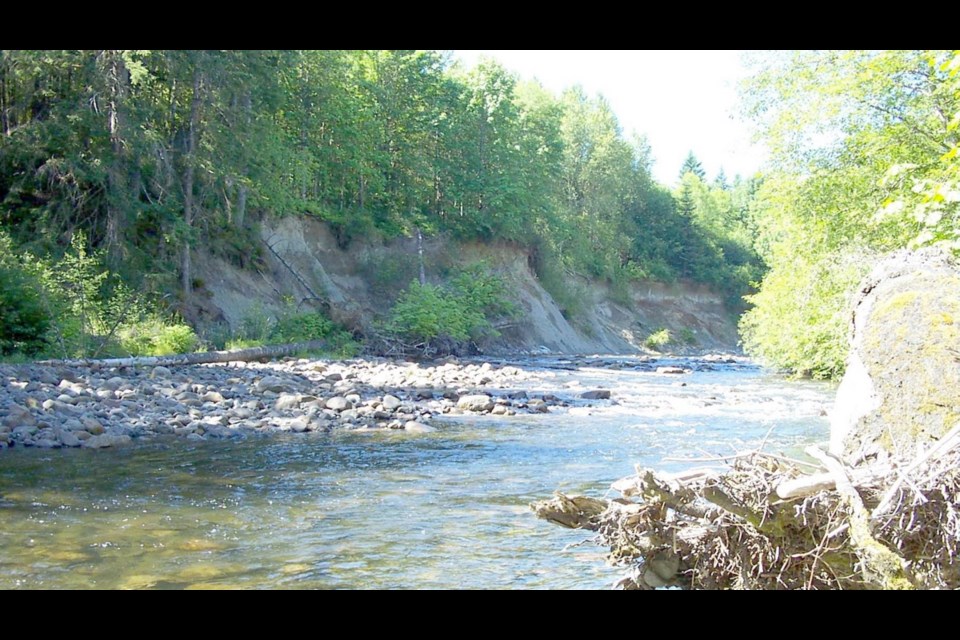 The Tsolum River, which runs from Mount Washington into Courtenay, welcomed more than 60,000 pink salmon this year. The river was barren for nearly 40 years as toxic metals seeped in from a defunct copper mine.