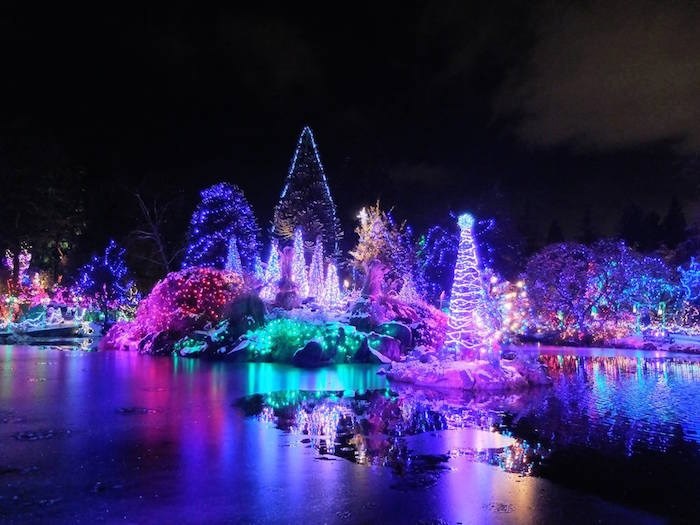 lights 1109