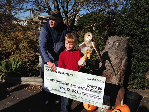 Kaiden Perrett, 7, presented a donation of $1,012 to Rob Hope from the Orphaned Wildlife Rehabilitation Society while holding Sarah, a barn owl, Sunday. Perrett, who lives on the Sunshine Coast, became interested in OWL after a visit to the Delta facility. He adopted an owl while there and has been receiving the centre’s newsletters. Upon reading about the need that OWL had for new space, he decided to help fundraise, holding a pair of lemonade stands this summer.