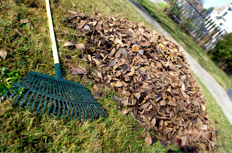 raking leaves