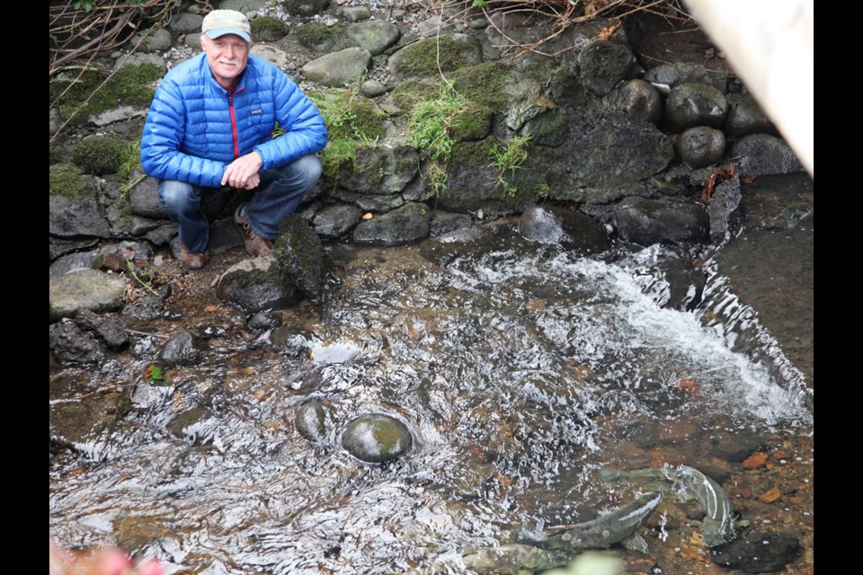 Burnaby's Mark Angelo, founder of World Rivers Day, on the banks of Still Creek, where salmon are returning to spawn. Still Creek used to be one of the most polluted waterways in the Lower Mainland.