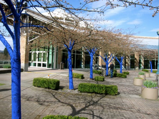 Blue Trees