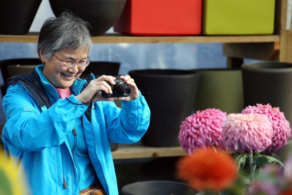Margaret Yoshida snaps a photo at The Late Show, an annual display and contest for chrysanthemum enthusiasts.