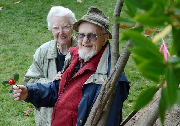 In an effort to preserve their collection of rare rhododendrons for future generations, North Vancouver residents Barbara and Alleyne Cook have donated 56 of their mature rhodos to the Sunshine Coast Botanical Garden.