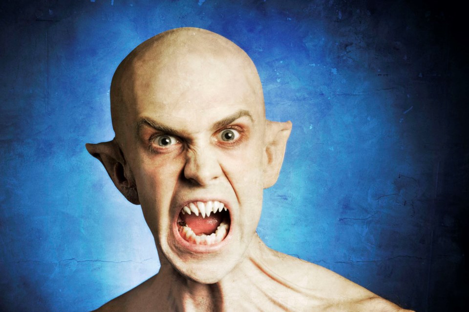 Fresh face?: Scott Perrie as Bat Boy in Patrick Street Productions' Bat Boy: The Musical (2010).