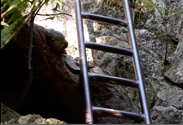 Ladder the Squamish Chief