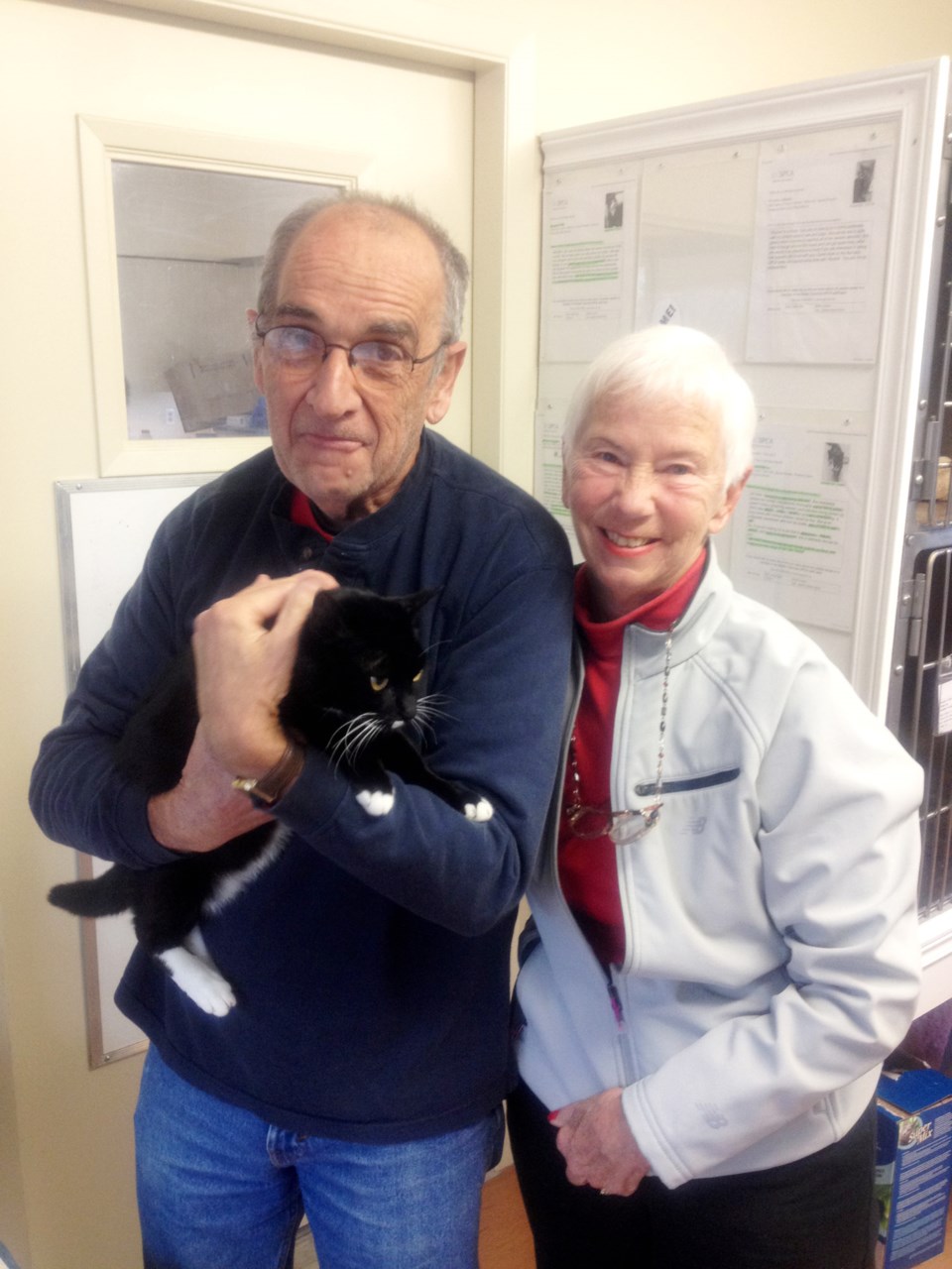 kitty reunited burnaby
