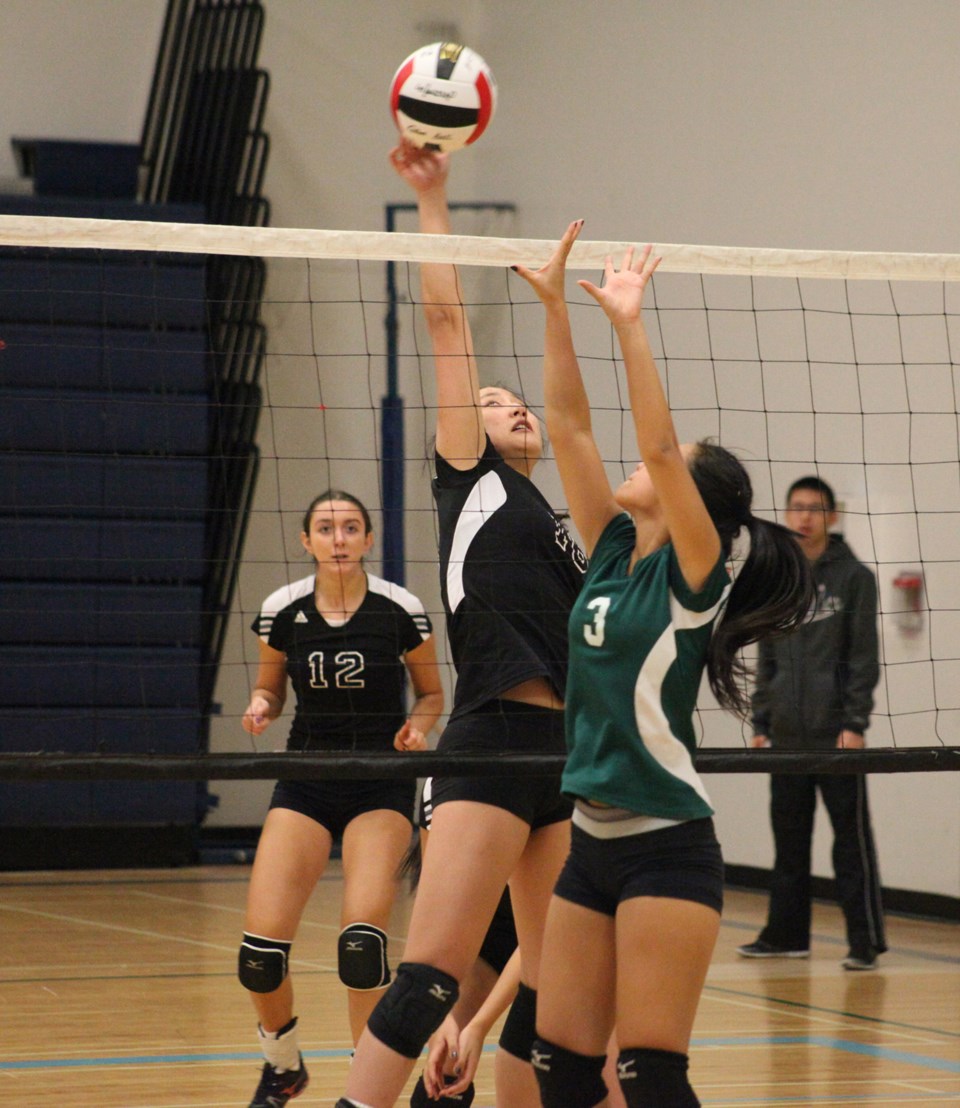 hs volleyball