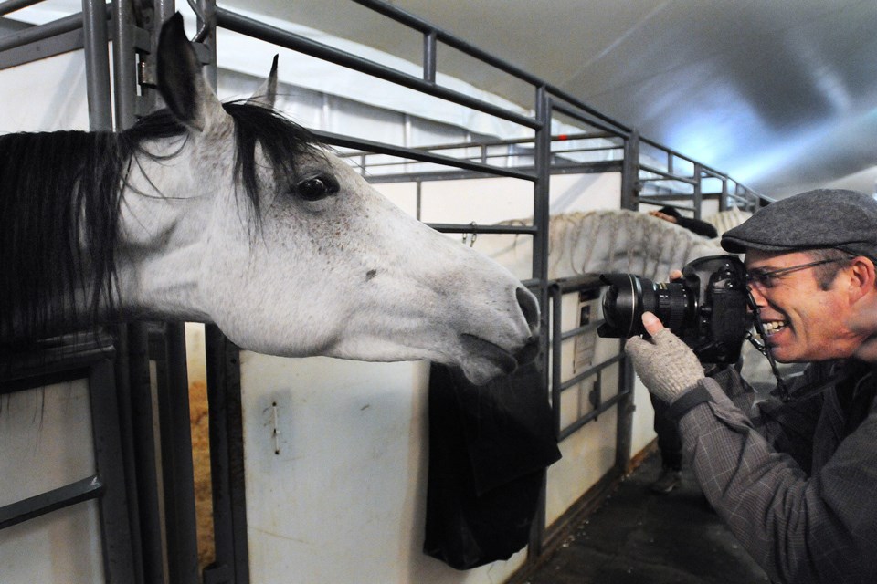 Say cheese! Bravas, an Arabian gelding, gets ready for his close-up with news photographer Ward Perrin during a media tour Monday of the set and stable of the Cavalia production Odysseo, which features 67 horses. It opens Saturday on under the white big top on False Creek. Photo Dan Toulgoet