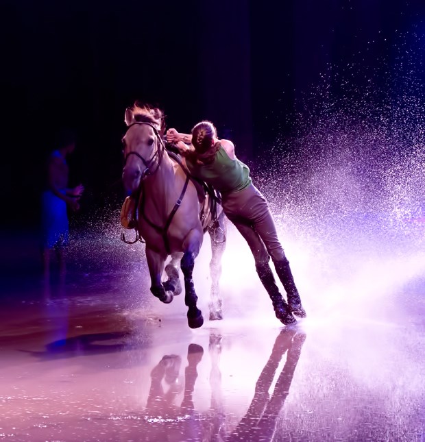 Cavalia