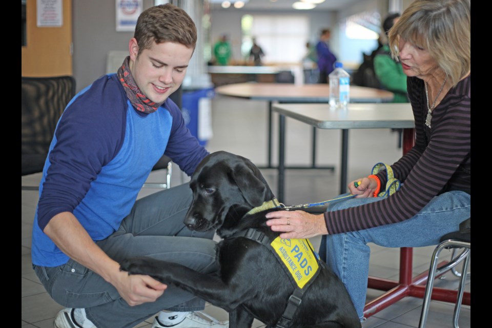 Shake a paw: Douglas College student James Bytelaar shakes hands with Thyme, while PADS volunteer Linda Trainor looks on.