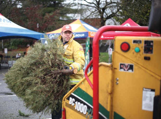 Chip away: New Westminster firefighter Jeff Cartwright puts a tree into the chipper at the New Westminster Firefighters' Charitable Society's 2013 tree chipping event. The 2014 event takes place Jan. 4 and 5 at the Canada Games Pool parking lot.