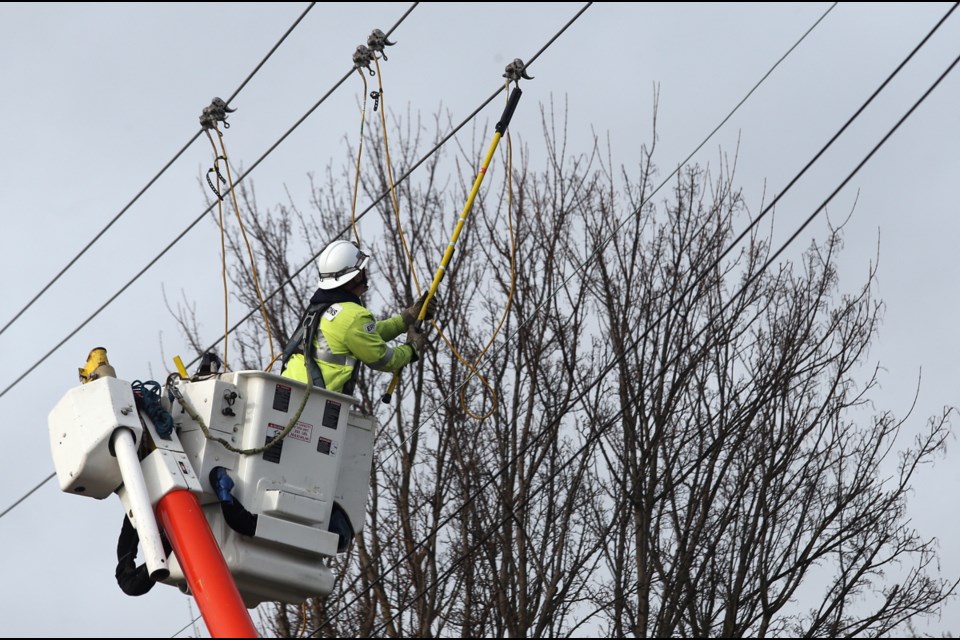 Bill Fowler of B.C. Hydro grounds the cables to allow firefighters to douse a small fire that broke out after a seagull ignited atop a hydro poll in Victoria on Thursday.