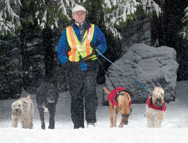 WV dog walker