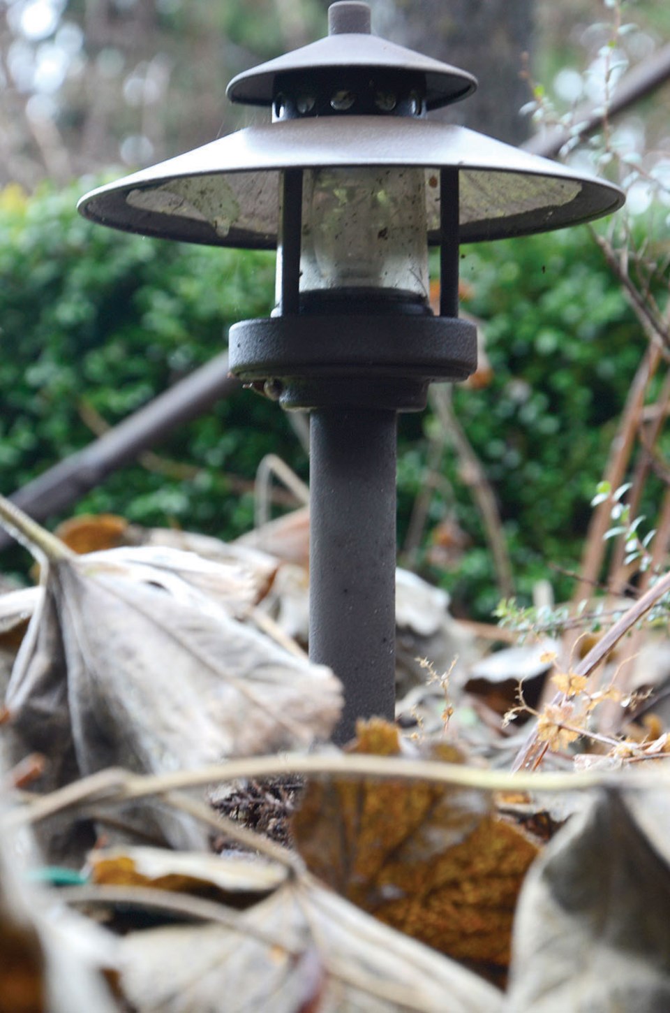 outdoor lighting