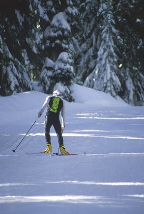 Train for the trails