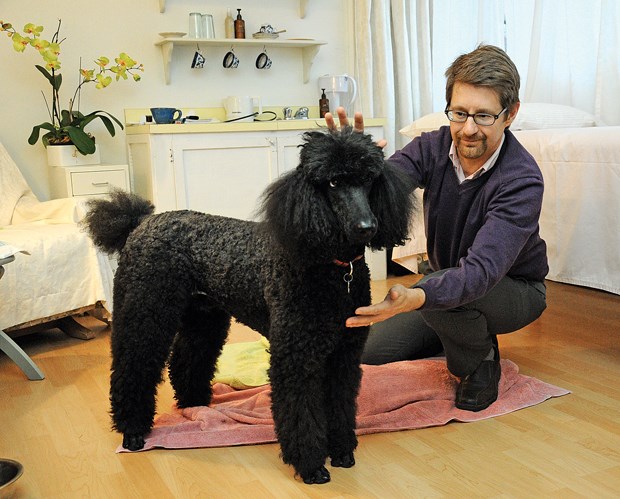 animal wellness