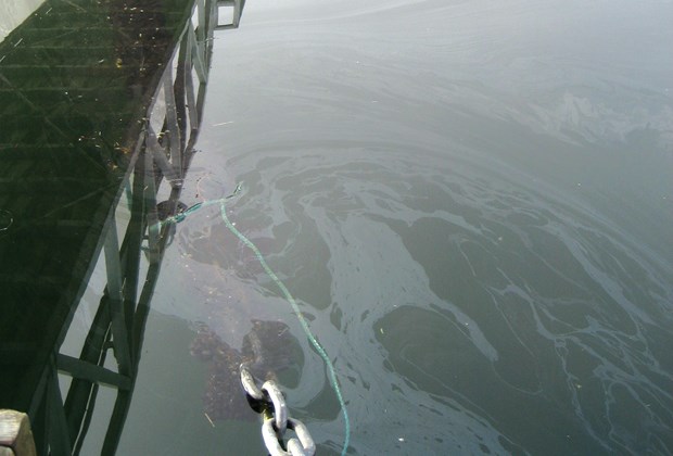 An unidentified substance coats the water in Deep Cove.