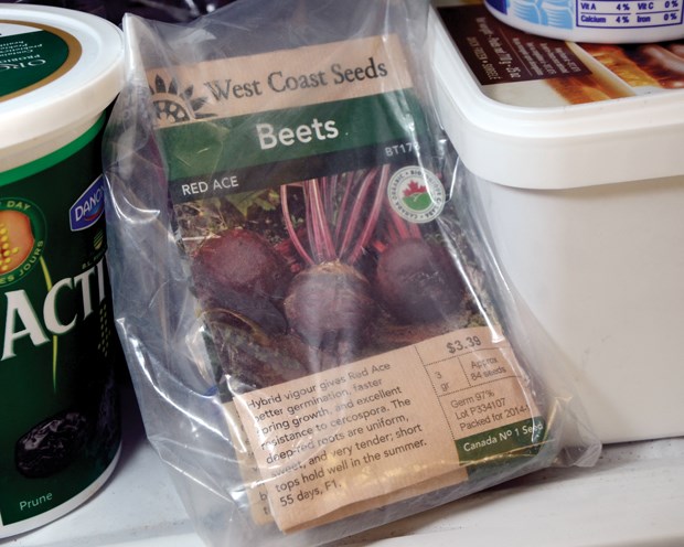 Myth busting winter gardening tasks