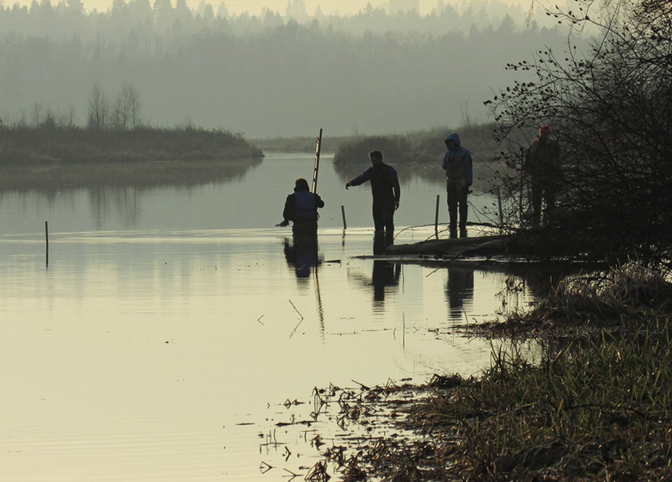 coal in Burnaby Lake