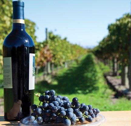 Red Wine