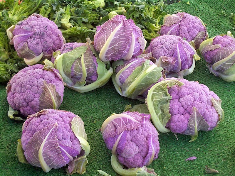 cauliflower