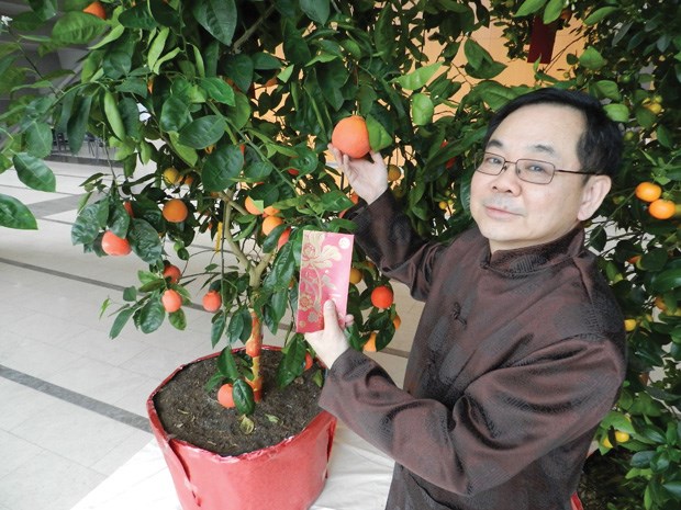 To help celebrate Lunar New Year at Richmond City Hall, Coun. Chak Au shows off the traditional mandarin orange tree and laisee (red envelopes) used to gift money during the celebrations.