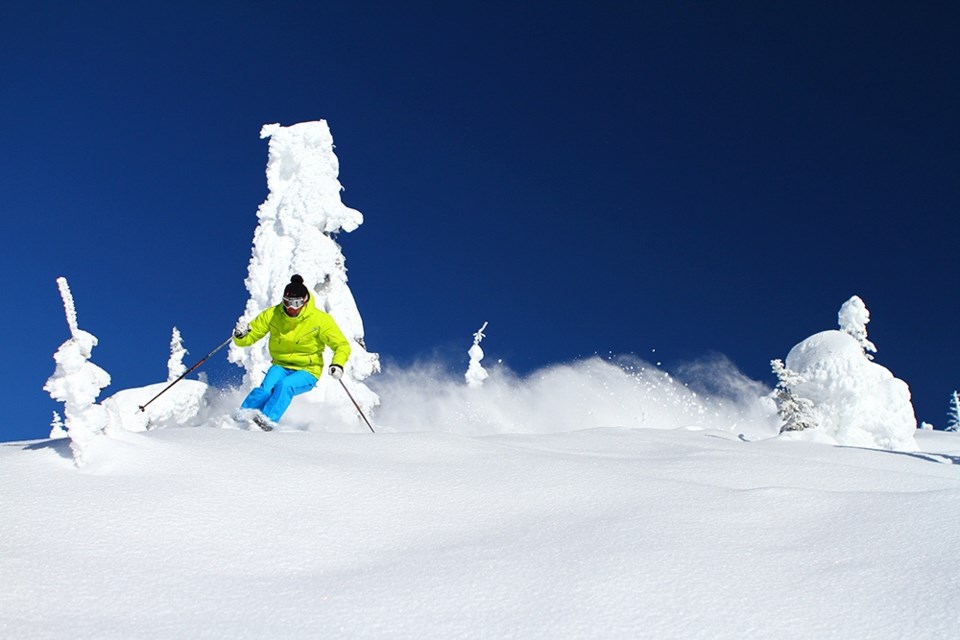 SKI 1117