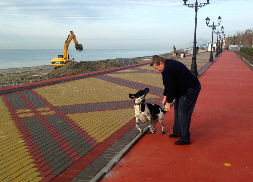 puppy seawall