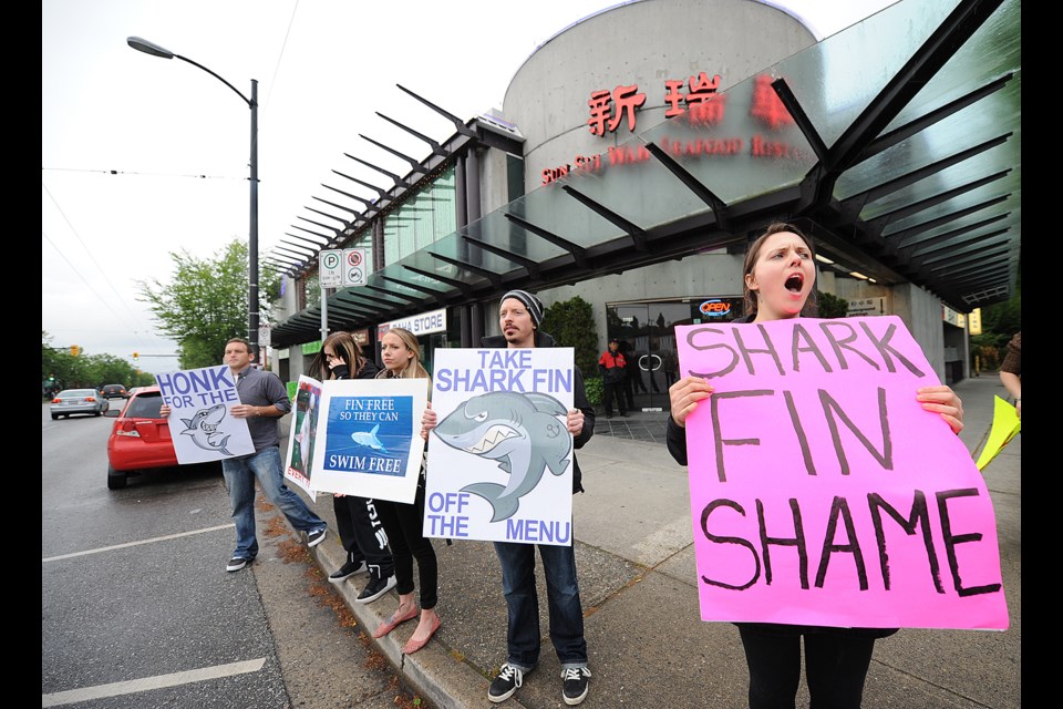 After nearly a year of weekly protests by members of the Vancouver Animal Defense League (VADL), Sun Sui Wah’s Main Street location will remove shark fin soup from its menu. photo Dan Toulgoet