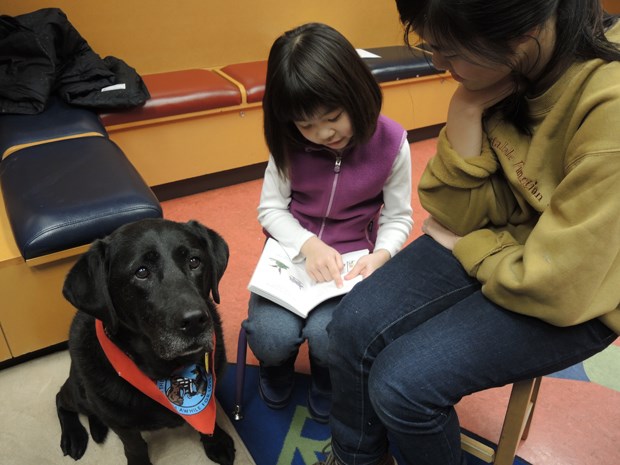 dog reading
