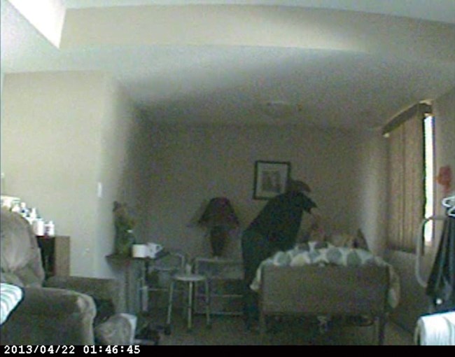 GP201310307059974AR.jpg