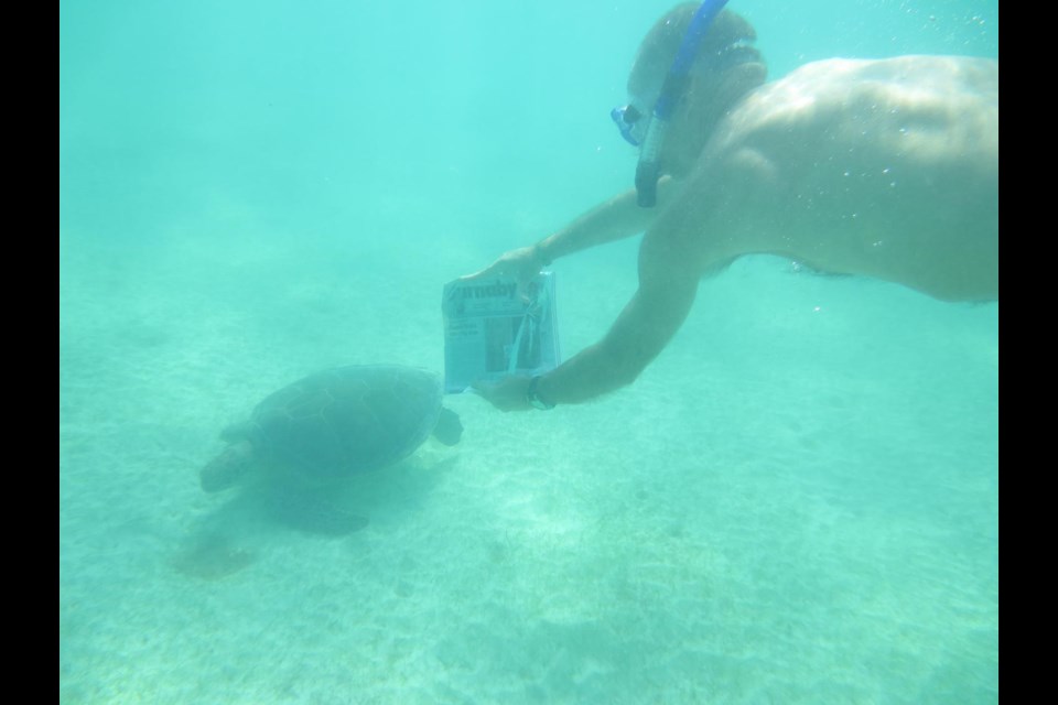 Christine and Walter Thiessen put the Burnaby NOW in ziplock bag to shoot underwater pictures while snorkeling with sea turtles and fish.