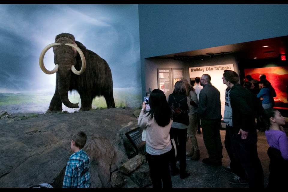 The Royal B.C. Museum&Otilde;s free-admission Family Day promotion always proves popular.