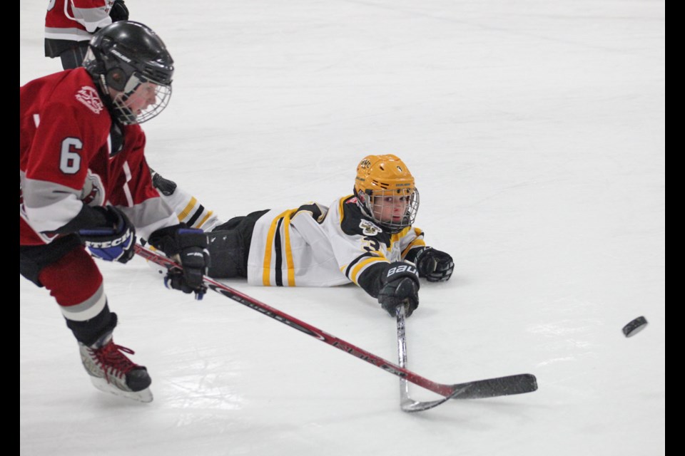 02-08-2014 BWC (white) vs Burnaby Minor, A2 atom hockey at BWC.
photo Jason Lang