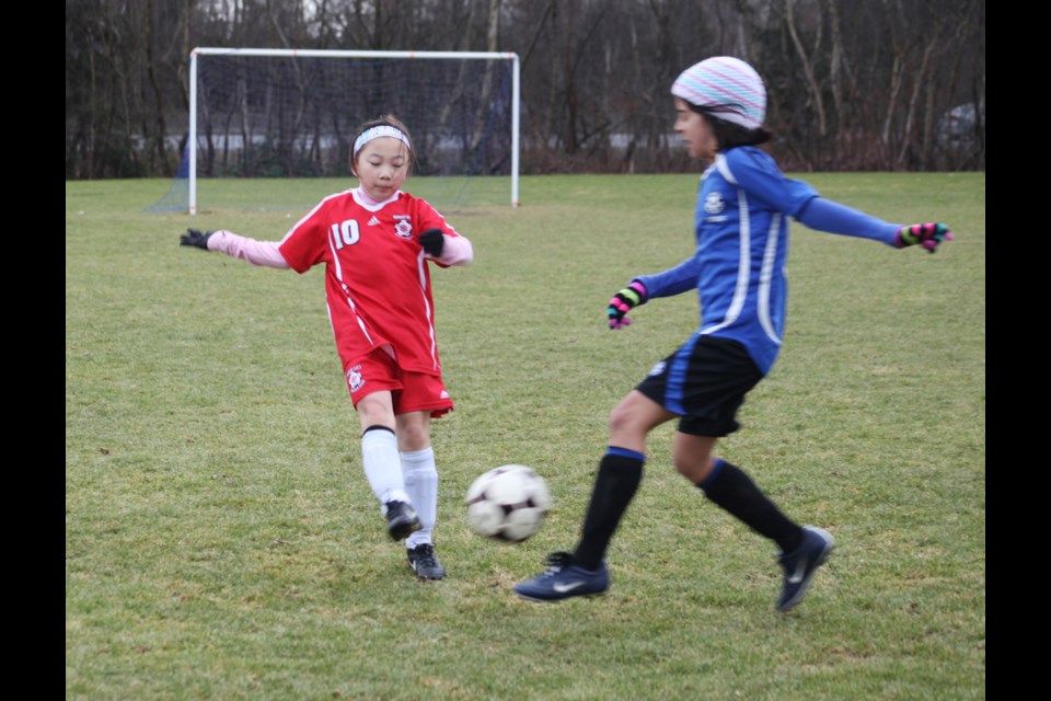 02-16-2014
Burnaby (red) vs Royal City, u10 soccer.
photo Jason Lang