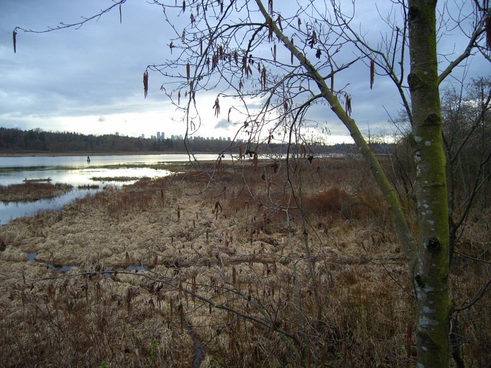 Burnaby lake