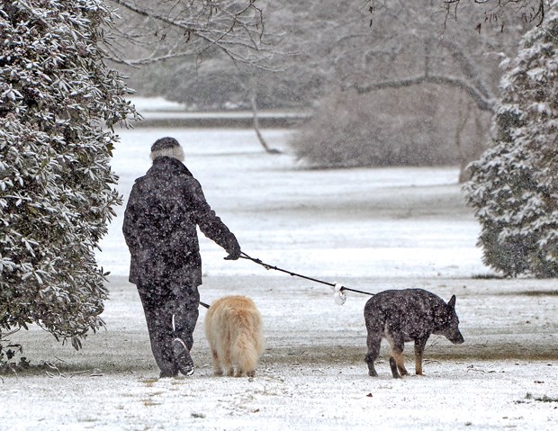 North Shore Snow