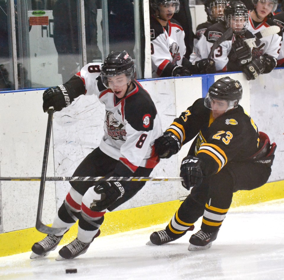 sockeyes